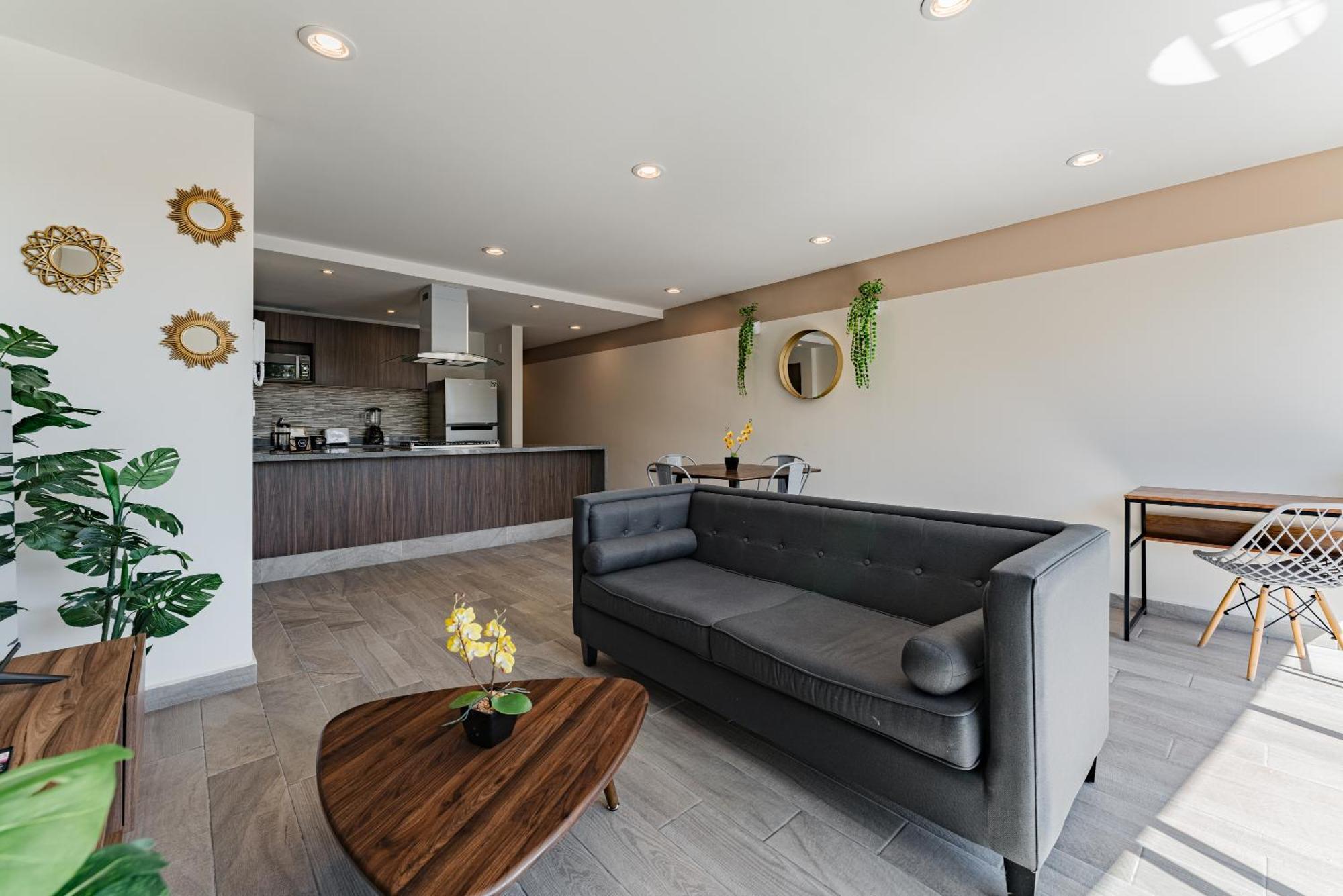 Roma Sur Apartments By Vh Meksyk Zewnętrze zdjęcie